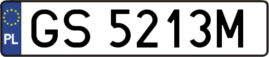 GS5213M