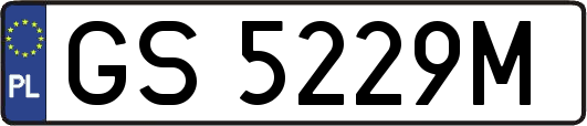 GS5229M