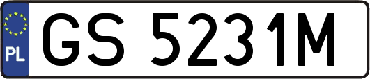 GS5231M