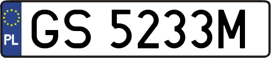 GS5233M