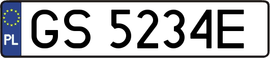 GS5234E