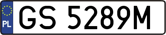 GS5289M