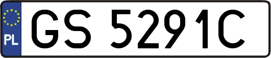 GS5291C