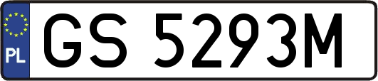 GS5293M
