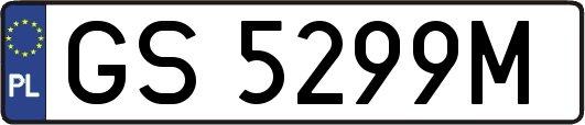 GS5299M