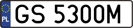 GS5300M