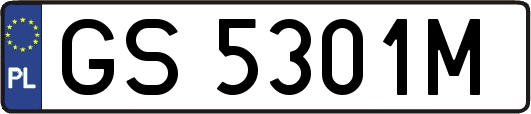 GS5301M