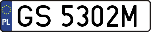 GS5302M