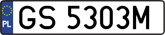 GS5303M