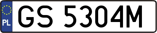GS5304M