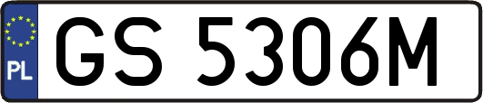 GS5306M