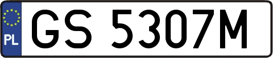 GS5307M