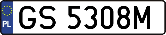 GS5308M