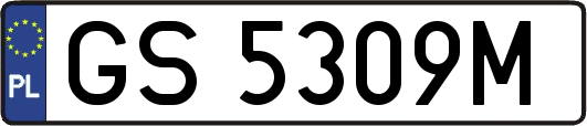 GS5309M