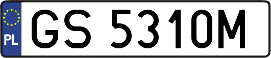 GS5310M