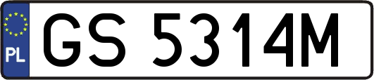 GS5314M