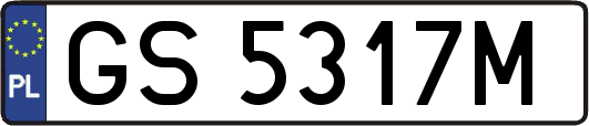 GS5317M