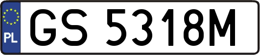 GS5318M