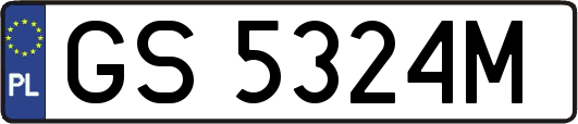 GS5324M