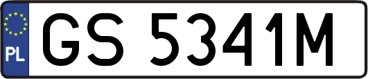 GS5341M