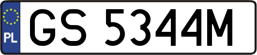 GS5344M