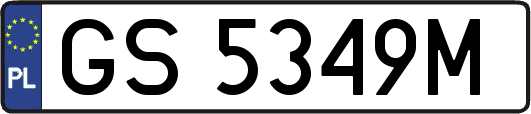 GS5349M