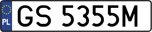 GS5355M
