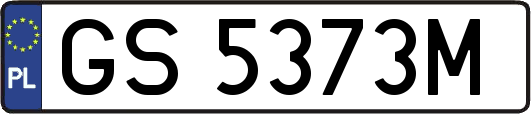 GS5373M