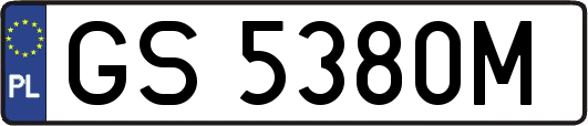GS5380M