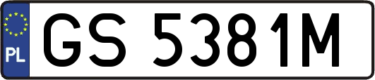 GS5381M
