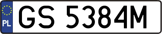 GS5384M
