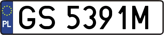 GS5391M