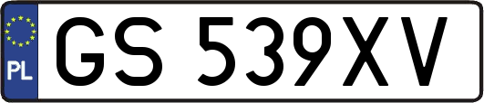 GS539XV