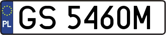 GS5460M