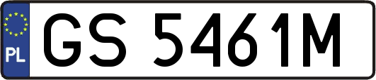 GS5461M