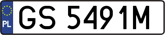 GS5491M