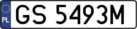 GS5493M
