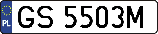 GS5503M
