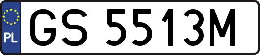 GS5513M
