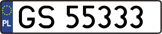 GS55333