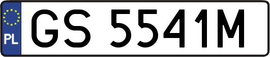 GS5541M