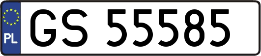 GS55585