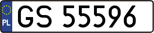 GS55596