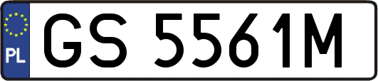GS5561M