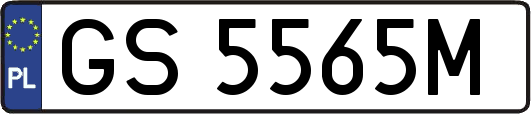GS5565M
