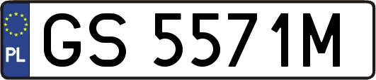 GS5571M
