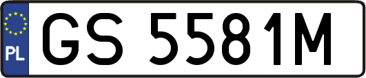 GS5581M