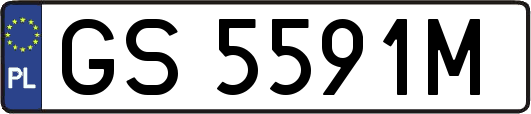 GS5591M