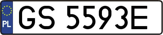 GS5593E