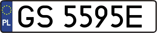 GS5595E
